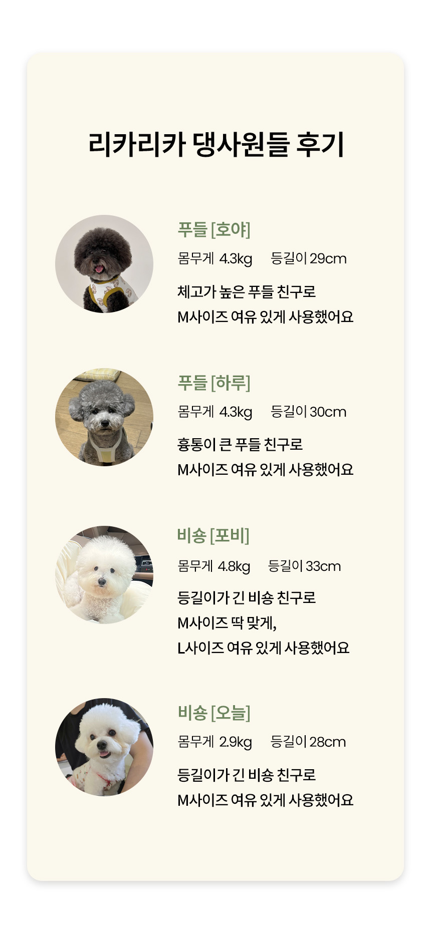 [무료배송] 리카리카 포근백 크림&올리브 M/L 27번째