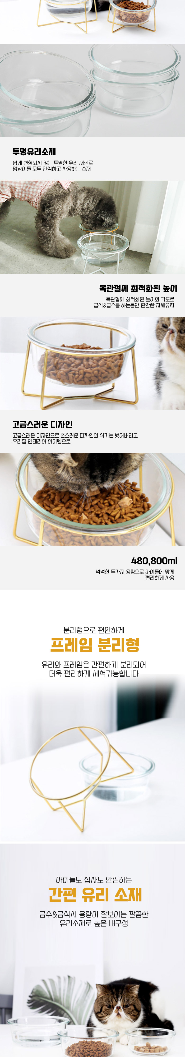 [무료배송] 딩동펫 반려동물 라인 유리 투명식기 3번째