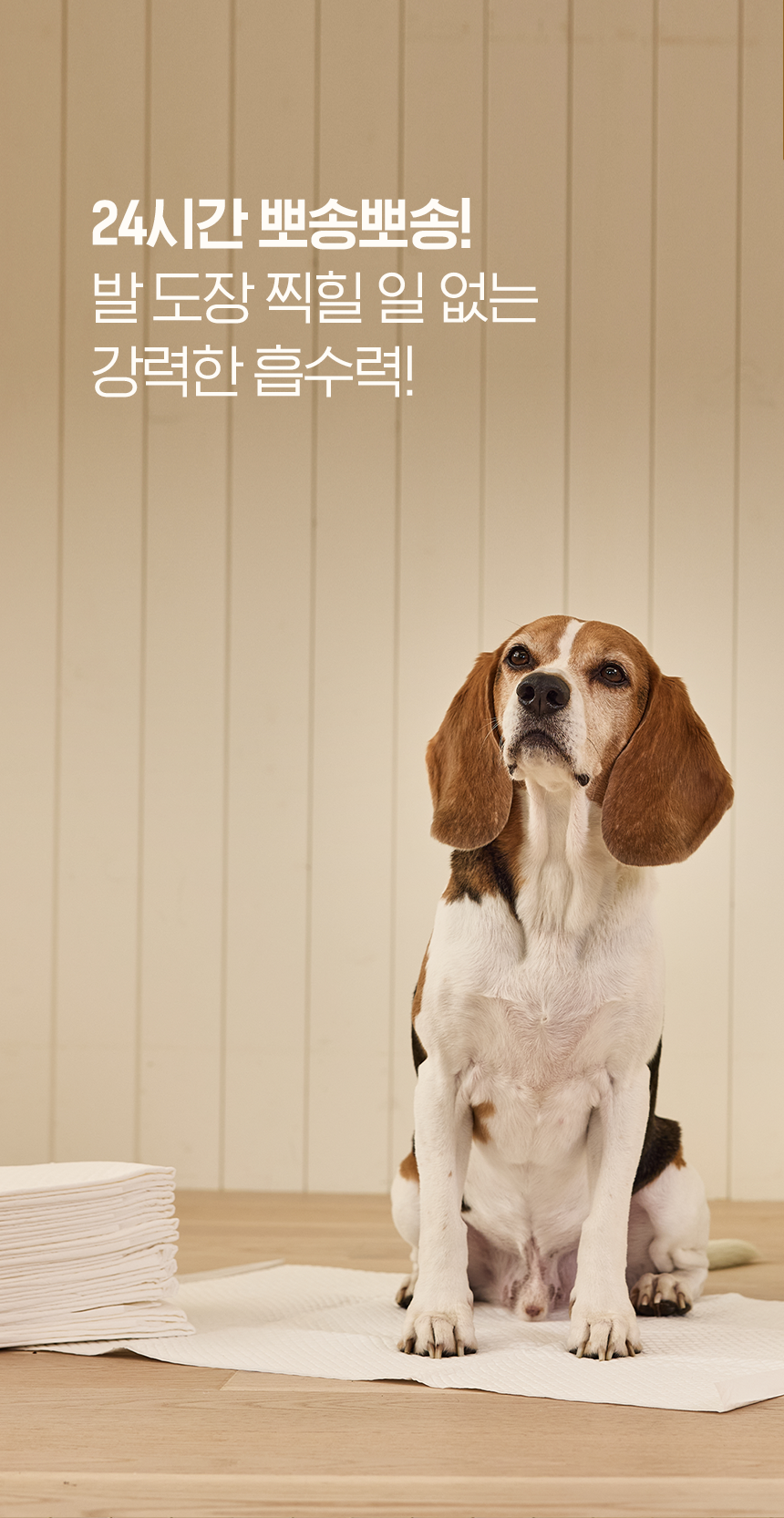 [NEW신상][무료배송] 배변패드 760x600mm M사이즈 강력한 흡수 누다 애견패드 깔끔패드 펫웨그테일 13번째