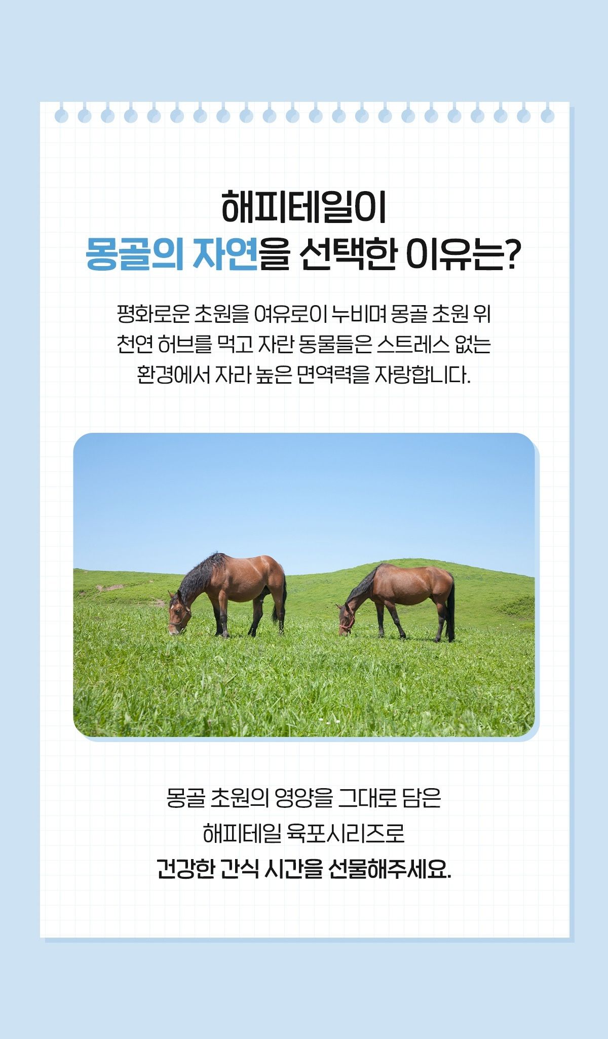 [NEW신상]해피테일 강아지 육포 말힘줄 40g 14번째