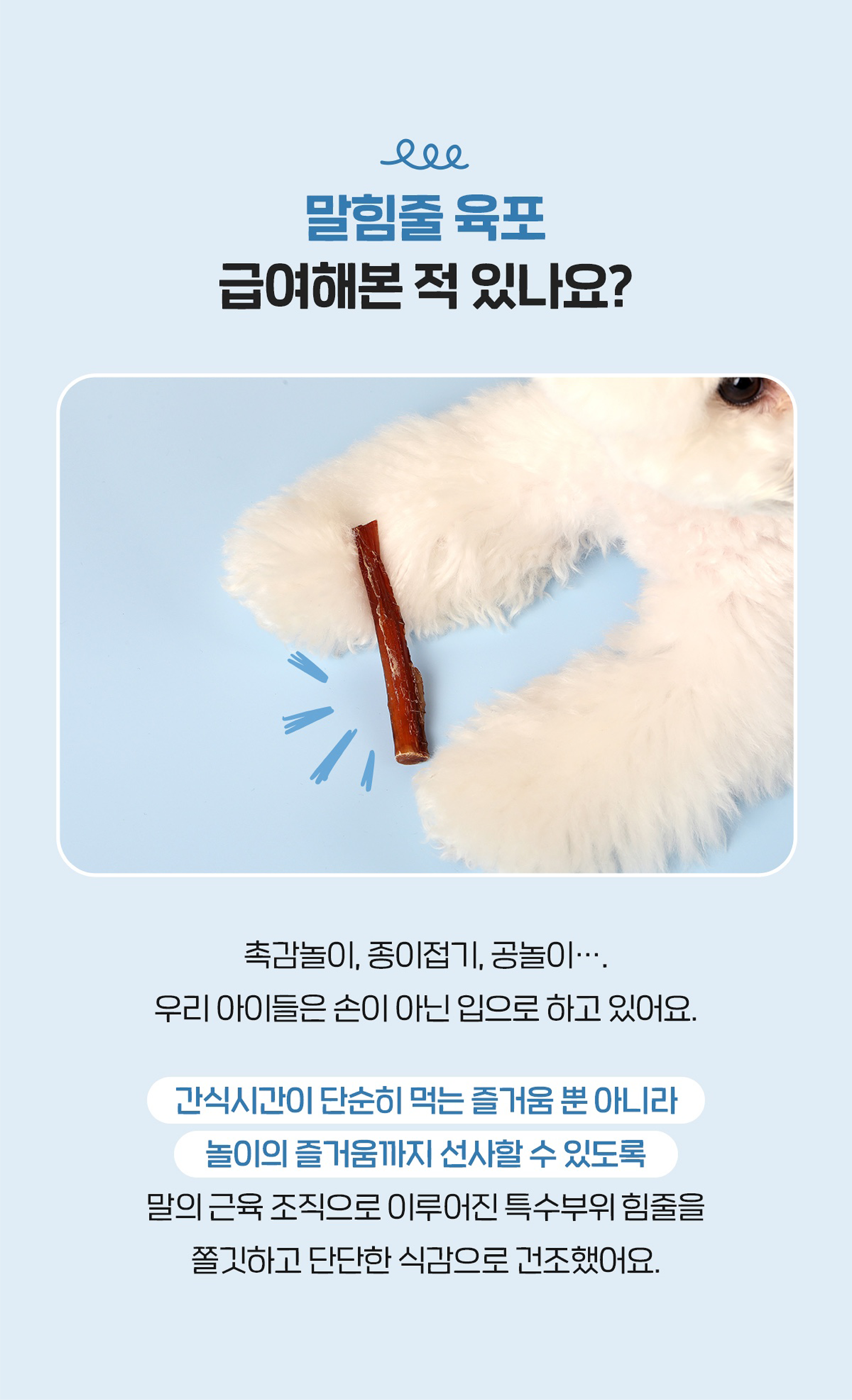 [NEW신상]해피테일 강아지 육포 말힘줄 40g 11번째