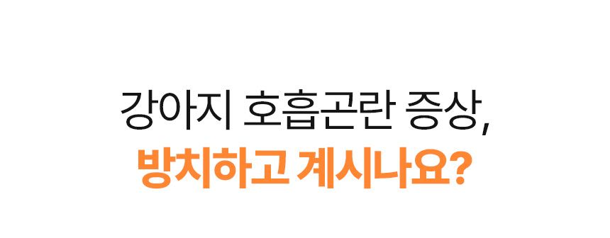 [무료배송] 오마르코 독 뉴트리서포트 브레스 1번째