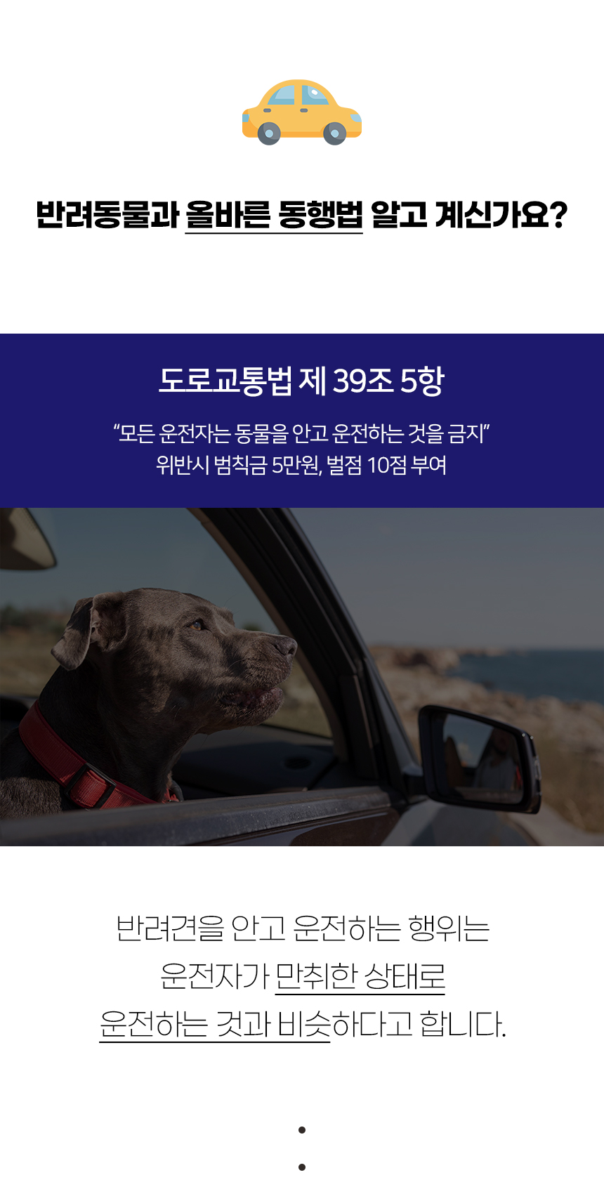 [NEW신상][무료배송] 개과천선 독 포리 카시트 (베이지/블루) 2번째