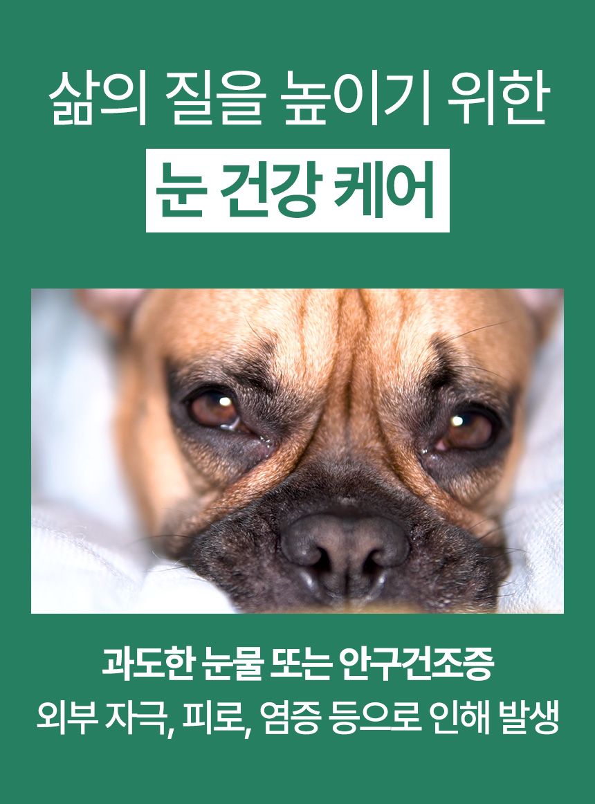 [브랜드전]펫생각 임상완료 아이즈 프로 눈 눈물자국 백내장 염증 루테인 영양제 60정 5번째