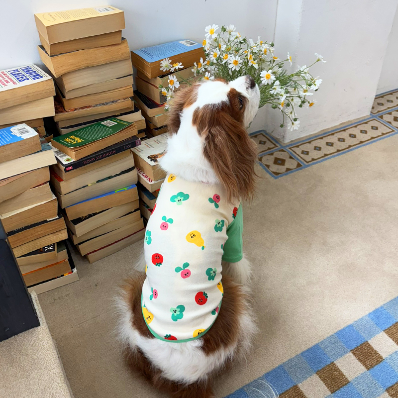 [NEW신상][무료배송] 해피댕댕 프렌즈티셔츠 S-2XL 5번째
