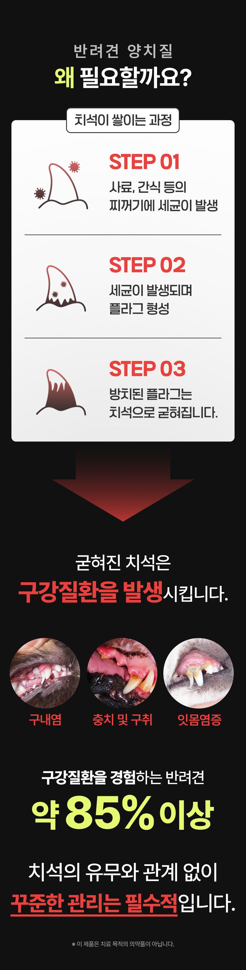 [NEW신상]펫생각 하루치카 덴탈클린 바르는 치약 60g (메론향) 27번째