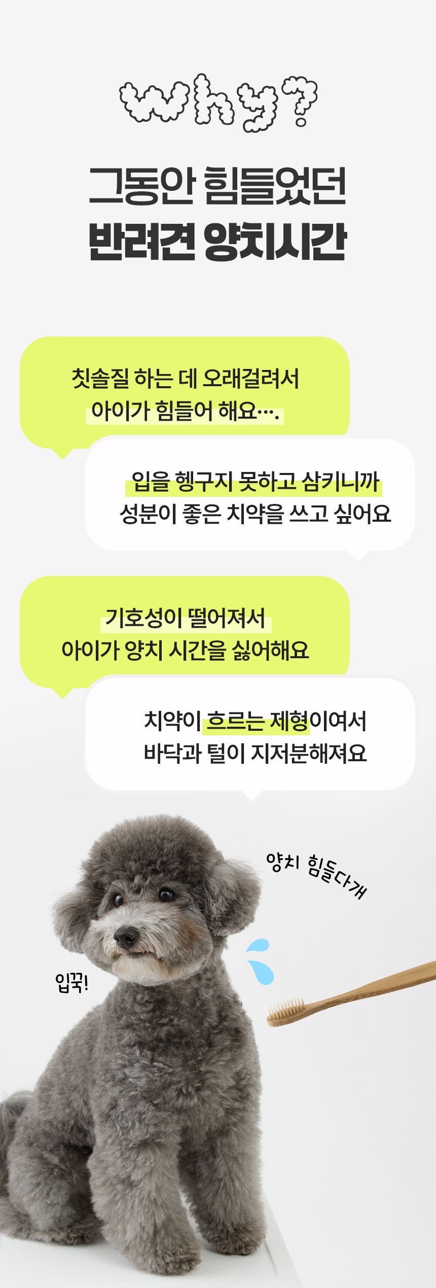 [NEW신상]펫생각 하루치카 덴탈클린 바르는 치약 60g (메론향) 20번째