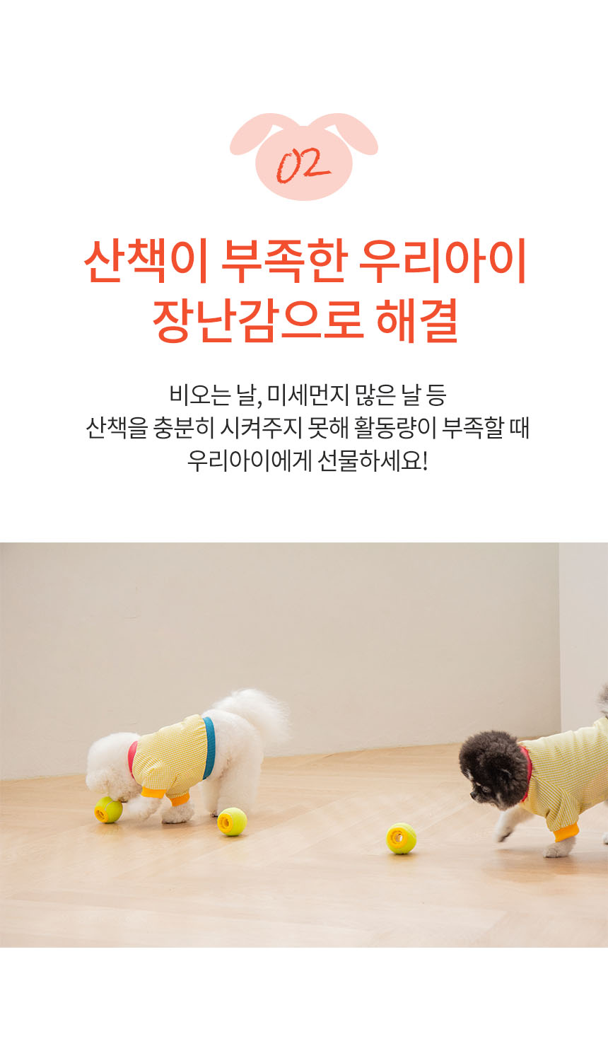 [NEW신상][무료배송] 펫토리아 르칙 강아지 간식 공놀이 장난감 노즈워크 테니스볼 7번째