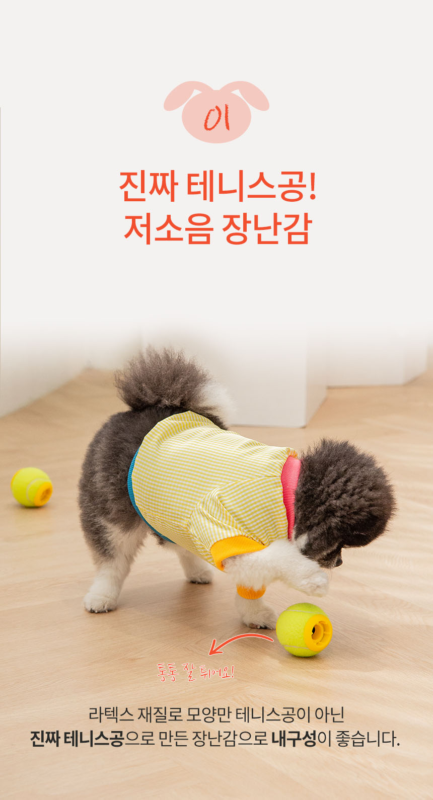 [NEW신상][무료배송] 펫토리아 르칙 강아지 간식 공놀이 장난감 노즈워크 테니스볼 5번째