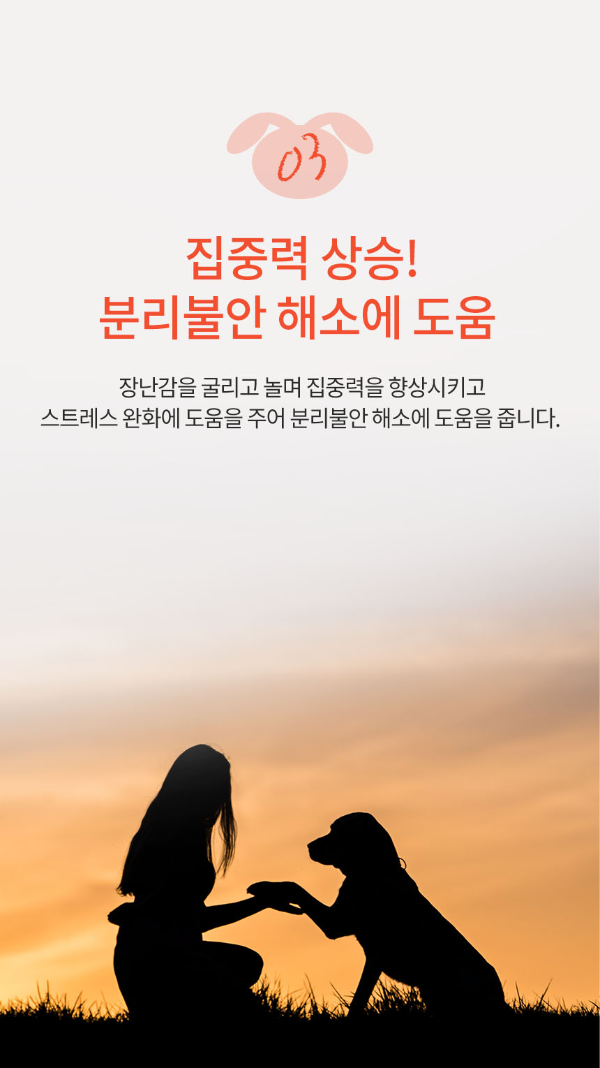 [NEW신상][무료배송] 펫토리아 르칙 강아지 간식 공놀이 장난감 노즈워크 테니스볼 8번째