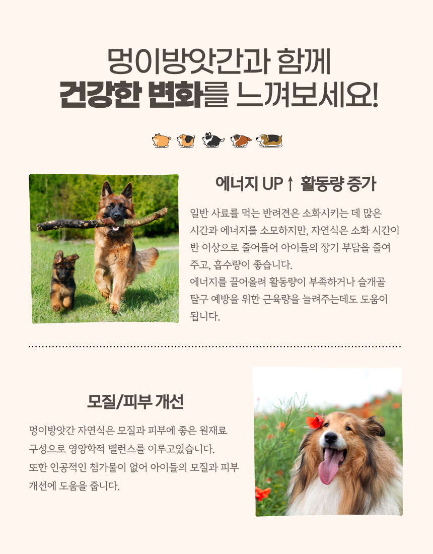 [NEW신상][무료배송] [10개/20개/30개] 멍이방앗간 독 화식 연어 50g 6번째
