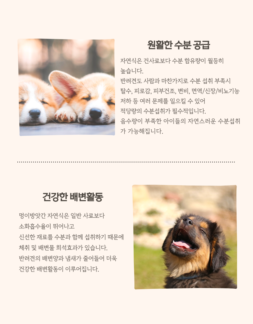 [NEW신상][무료배송] [10개/20개/30개] 멍이방앗간 독 화식 연어 50g 7번째