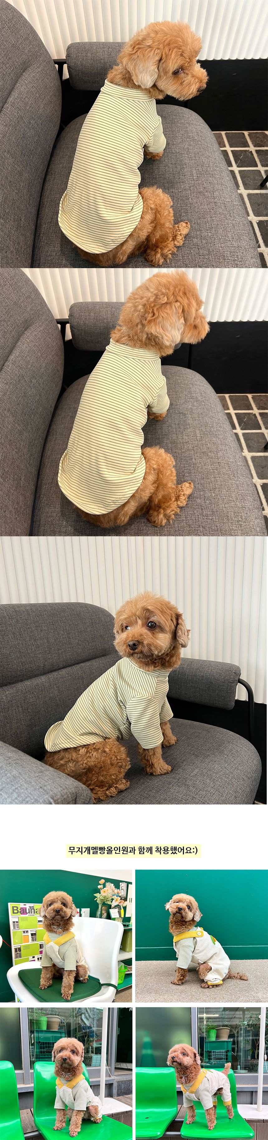 [무료배송] 그로서리 메리그린 스트라이프 목폴라 티셔츠 브라운 XS-XXL 5번째
