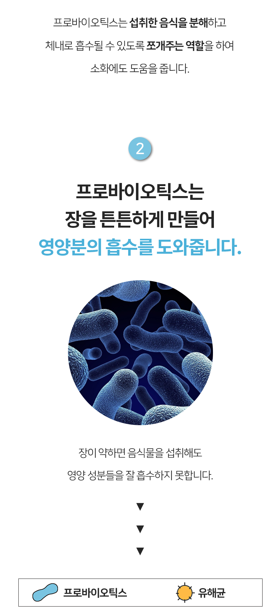 [창고대방출] 페피테일 독 참유산균 참견의묘미 2g*30p  8번째