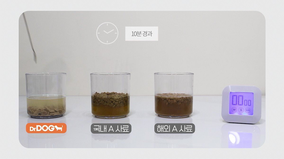 닥터독 피부모질 사료 2kg 8번째