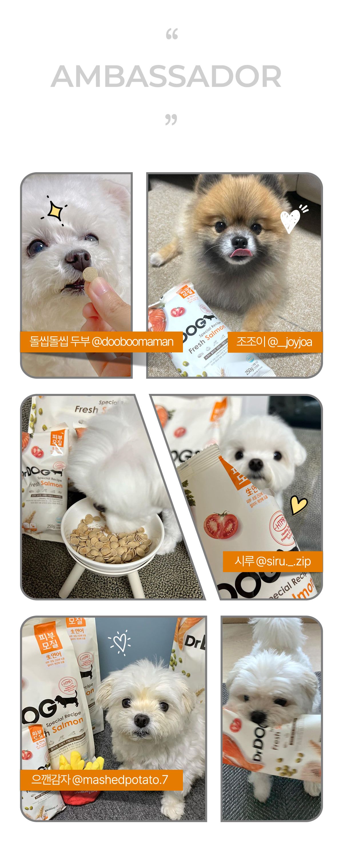 닥터독 피부모질 사료 2kg 15번째