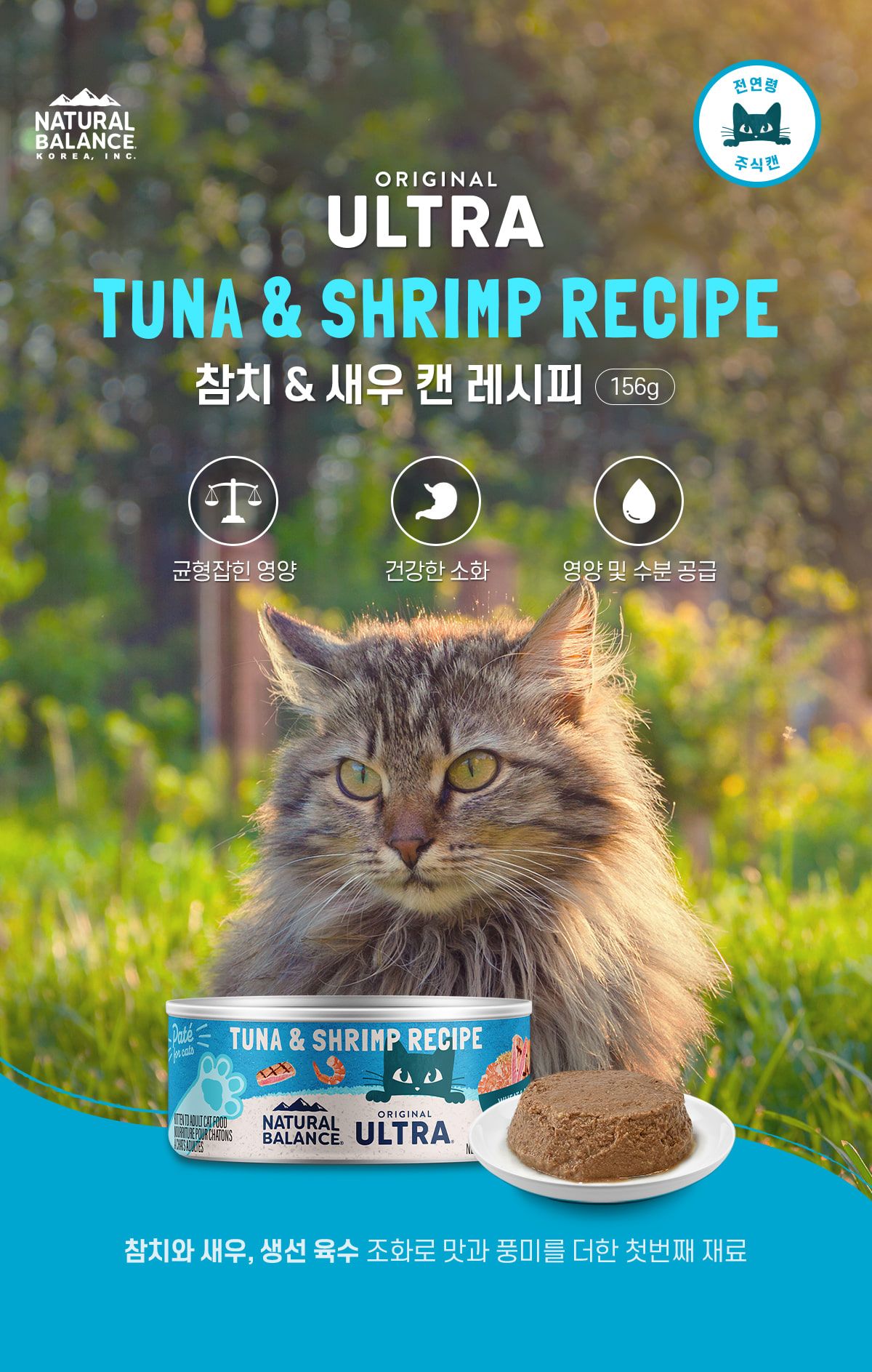 내추럴발란스 캣 참치&새우 레시피 주식 캔  156g 3번째