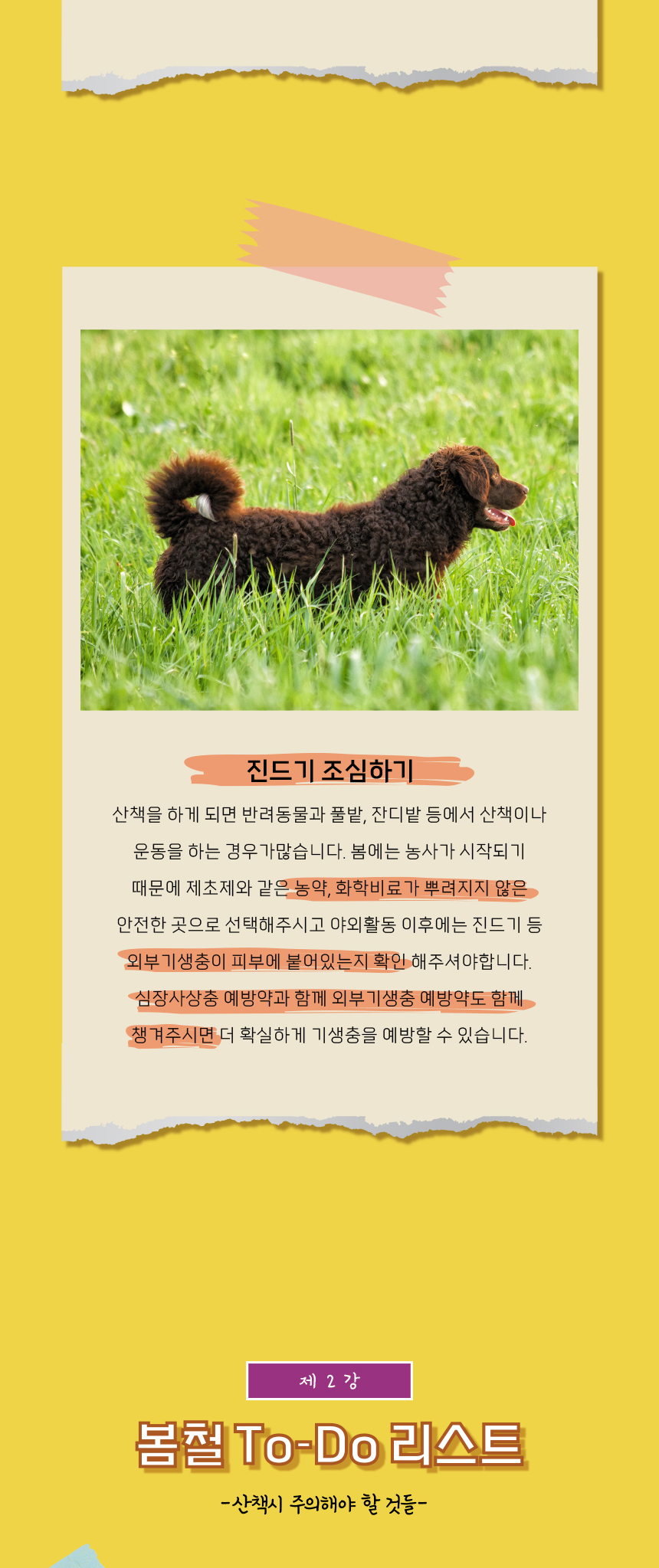 [무료배송] 애구애구 튤립끈나시 퍼플/옐로우 XS-XL 8번째