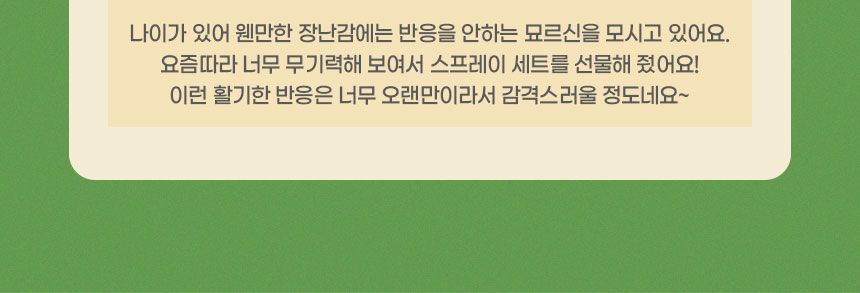 [무료배송] 멍냥이랑 취향탐구3종세트 캣닢&마따따비 스프레이 7번째