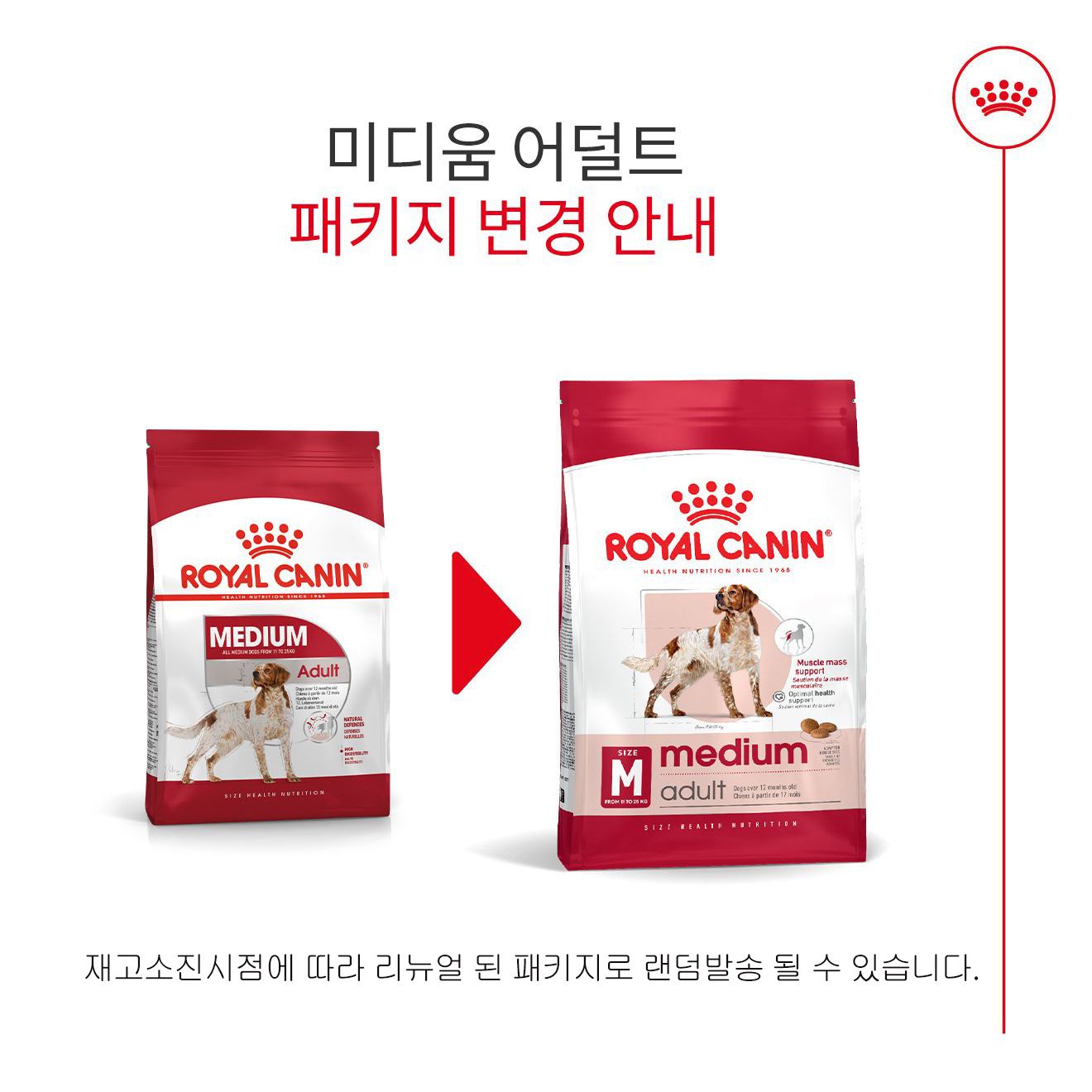 [웰컴딜] 로얄캐닌 독 미디엄 어덜트 4kg 중형견 면역증진 1번째