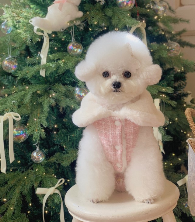 [무료배송] 유어하루 독 윈터 퍼 하네스 패딩 핑크 S-XL 6번째