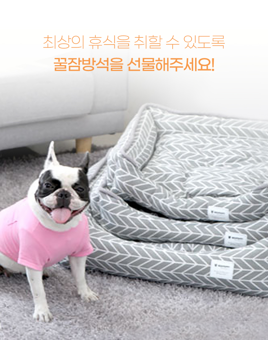 [NEW신상][무료배송] 개과천선 본프드 사각 방석 (소형/중형/대형/특대형) 3번째