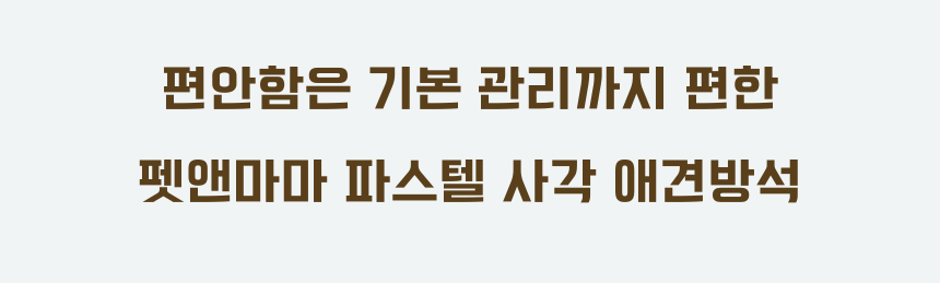 [NEW신상][무료배송] 펫앤마마 파스텔 사각 애견방석 3종 (라이트블루/라이트핑크/라이트옐로우) M~XL 11번째
