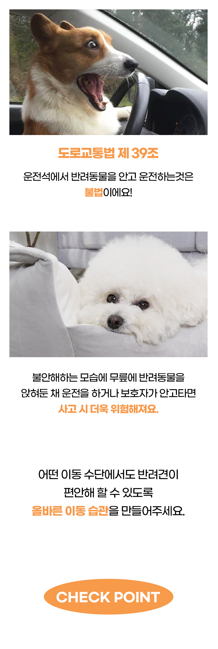 [NEW신상][무료배송] 개과천선 독 B터 카시트 (베이지/그레이) 5번째