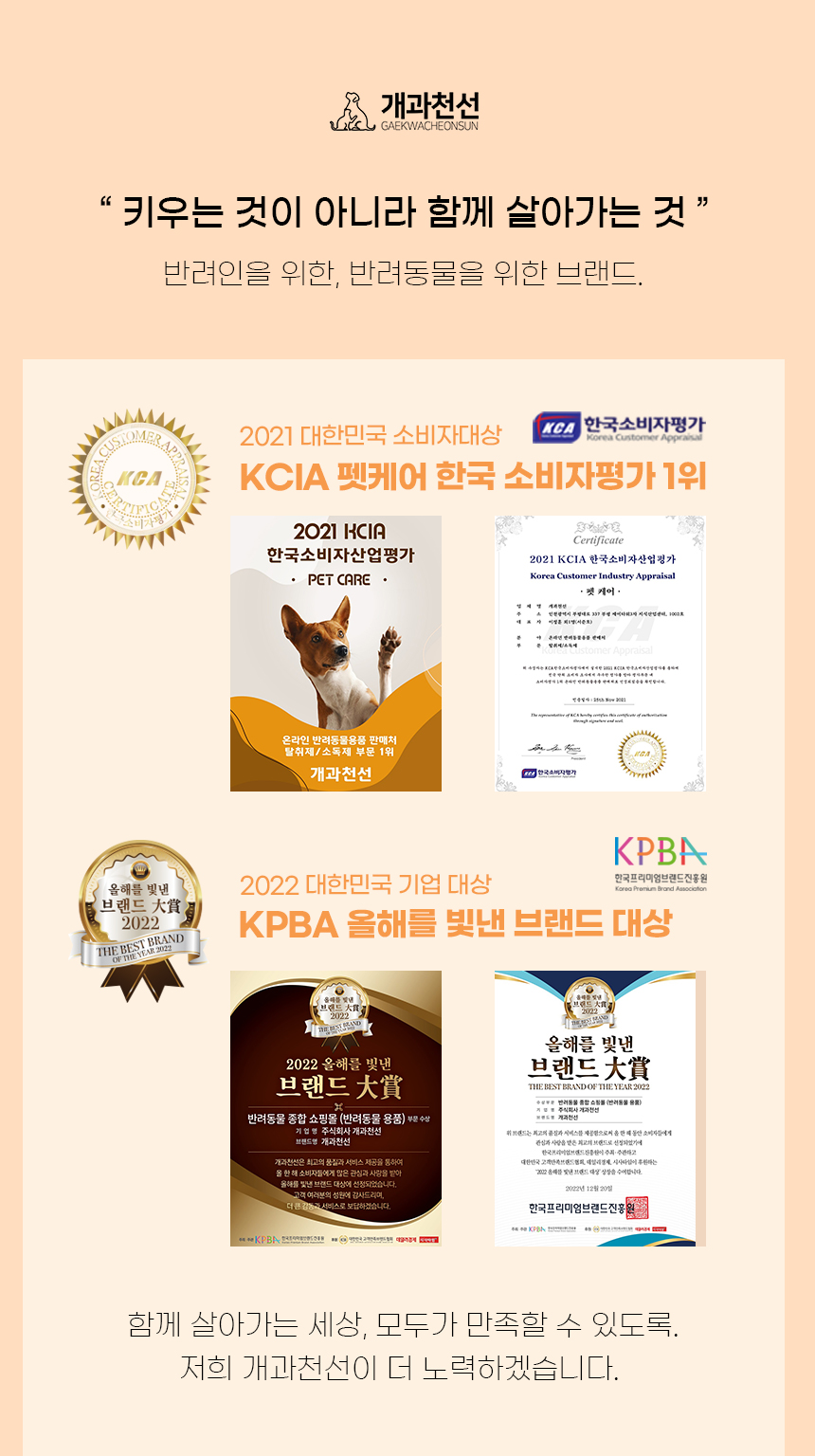 [NEW신상][무료배송] 개과천선 독 B터 카시트 (베이지/그레이) 2번째