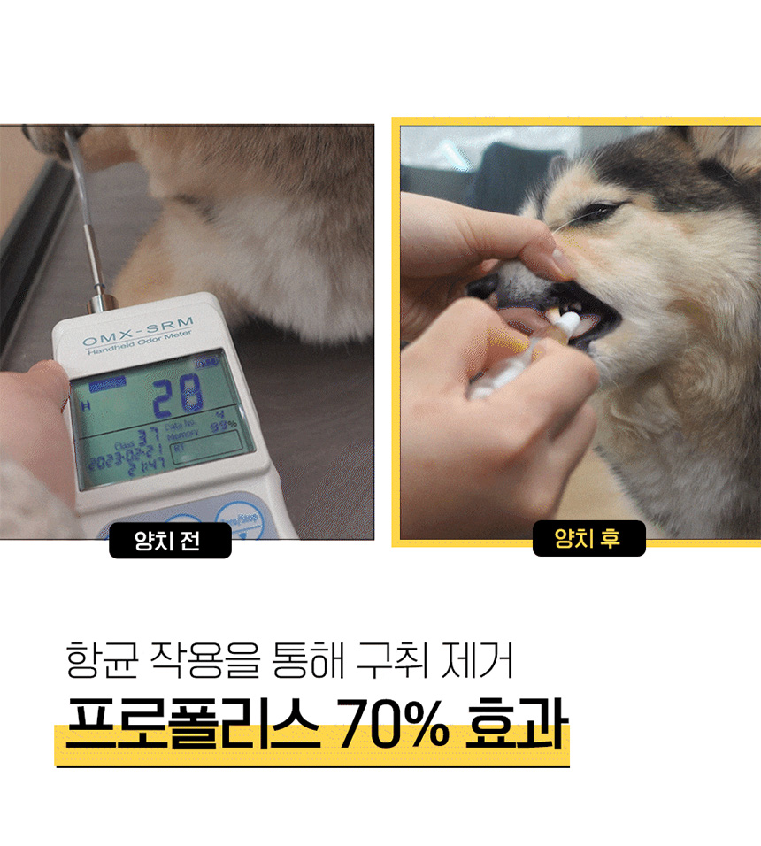 [NEW신상][무료배송] 베픈 프로폴리스 일체형 양치펜 닭고기맛 12번째