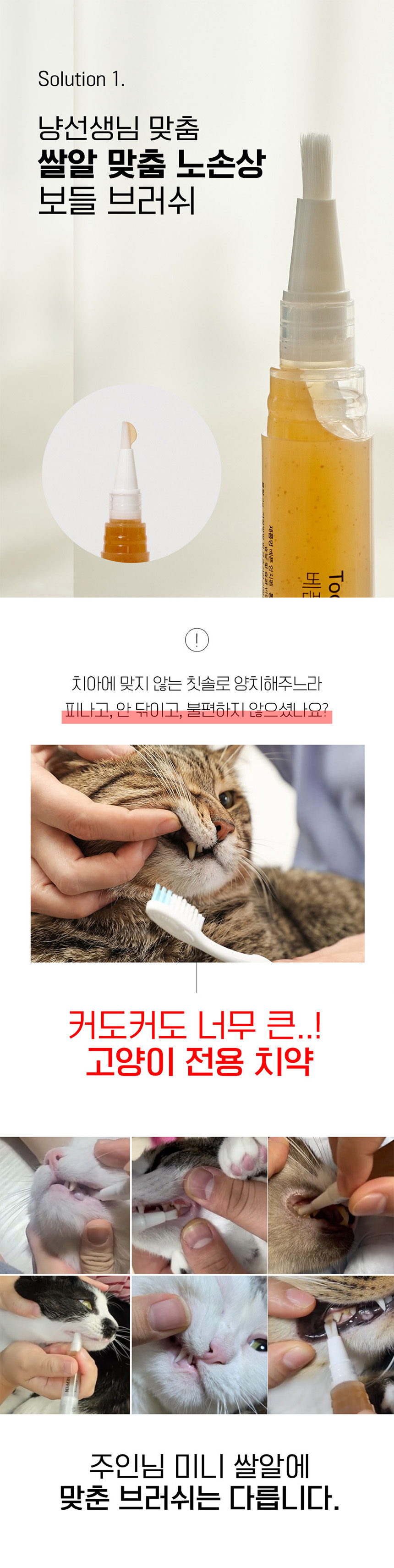 [NEW신상][무료배송] 베픈 프로폴리스 일체형 양치펜 닭고기맛 7번째