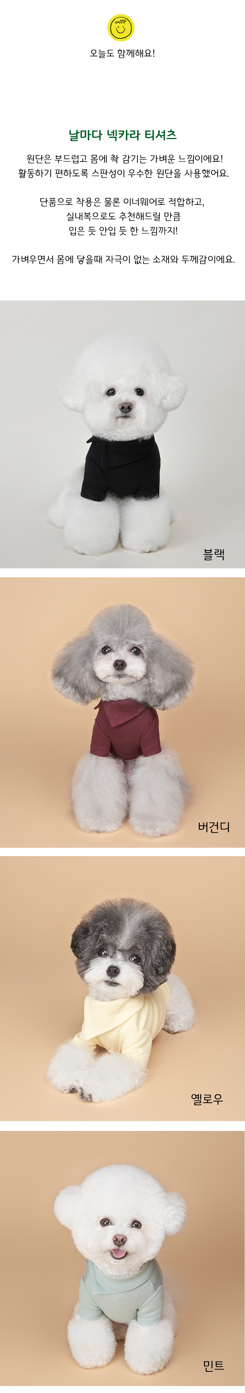 [무료배송] 위드토리 날마다 넥카라 티셔츠 블랙/버건디/옐로우/민트/아이보리/코코아/라벤다/라임 S-2XL 1번째