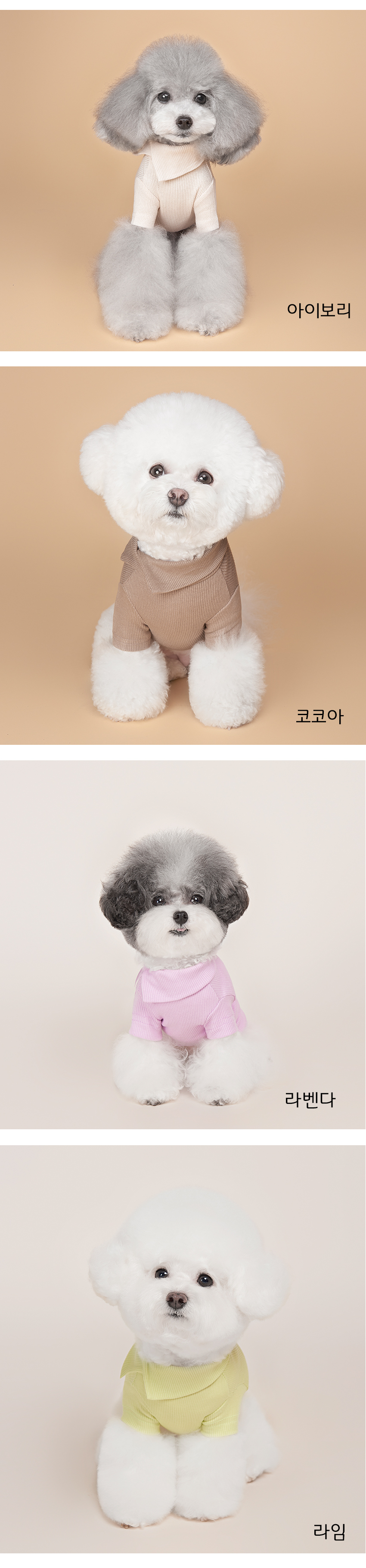 [무료배송] 위드토리 날마다 넥카라 티셔츠 블랙/버건디/옐로우/민트/아이보리/코코아/라벤다/라임 S-2XL 2번째
