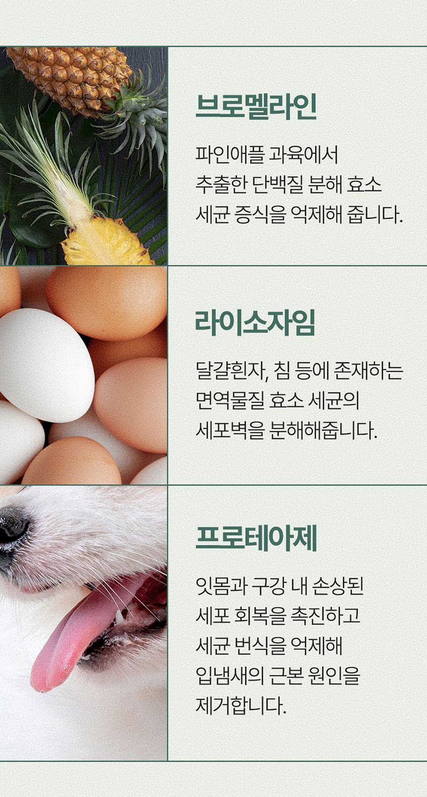 [NEW신상][무료배송] 페피릴리프 락토케어 덴탈 투스페이스트 그린애플향 80g 15번째