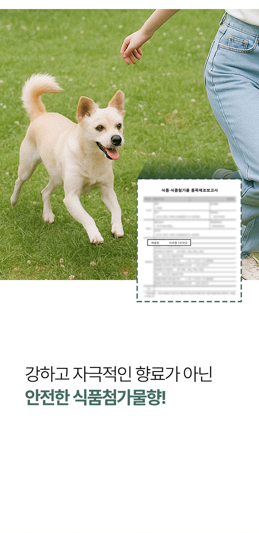 [NEW신상][무료배송] 페피릴리프 락토케어 덴탈 투스페이스트 그린애플향 80g 21번째