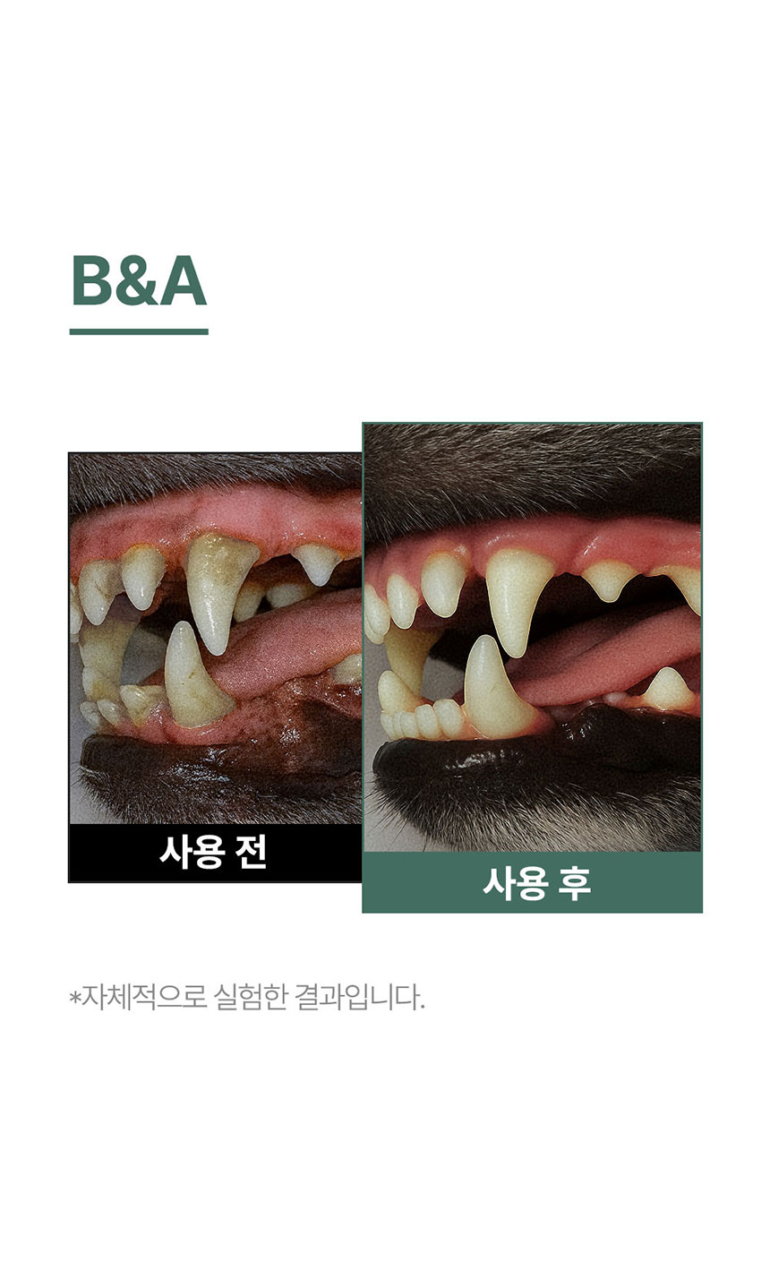 [NEW신상][무료배송] 페피릴리프 락토케어 덴탈 투스페이스트 그린애플향 80g 8번째
