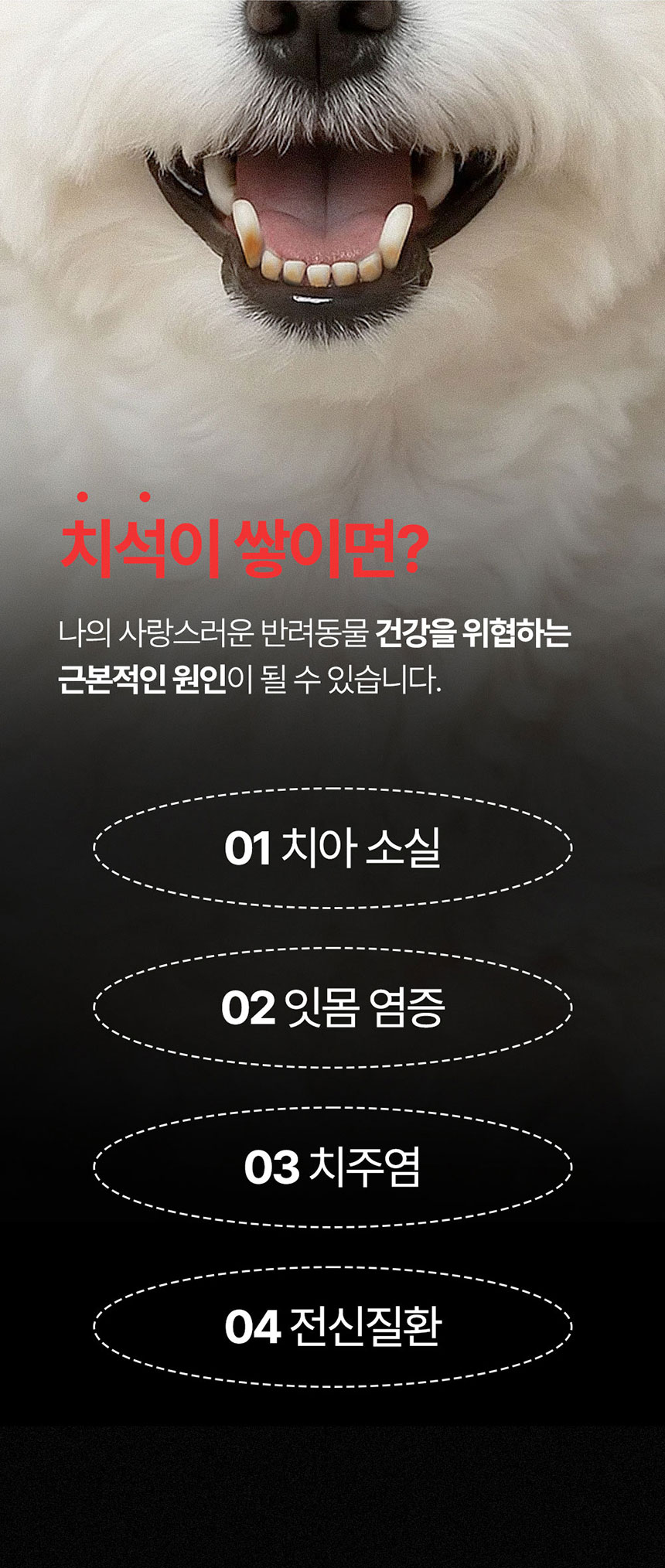 [NEW신상][무료배송] 페피릴리프 락토케어 덴탈 투스페이스트 그린애플향 80g 9번째
