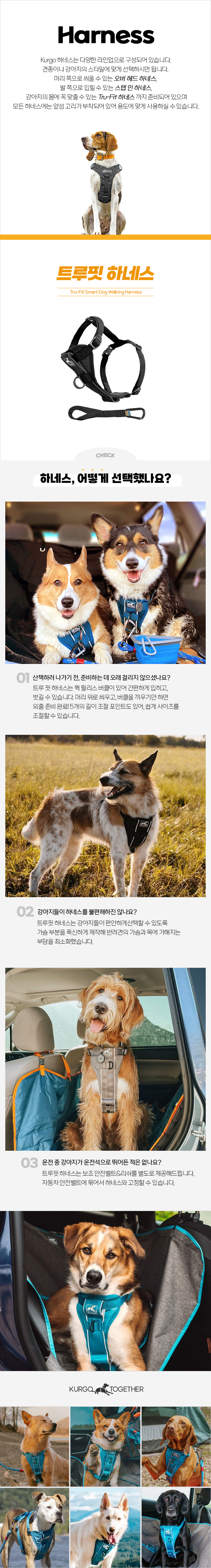 [무료배송] 커고 독 트루핏 하네스 차콜/블루/블랙 XS-XL 2번째