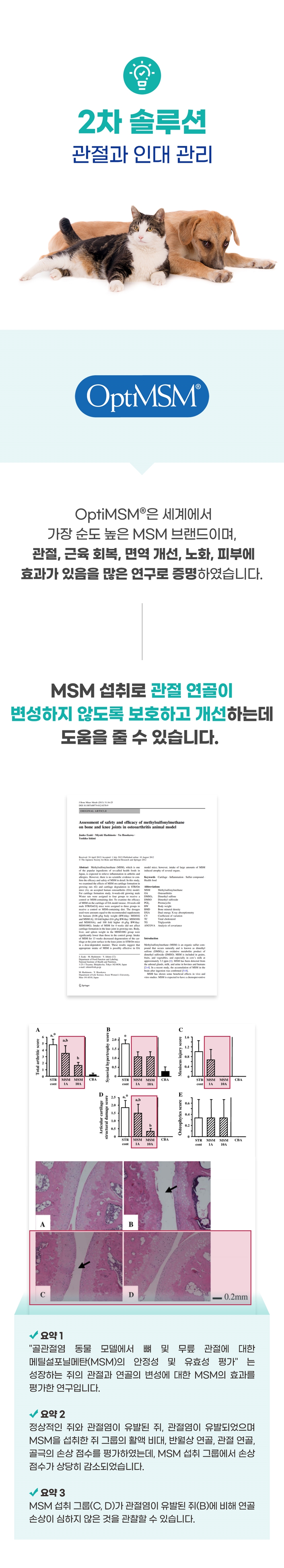 [무료배송] 브랜바인 조인트가디언 관절 영양제 90일분 8번째