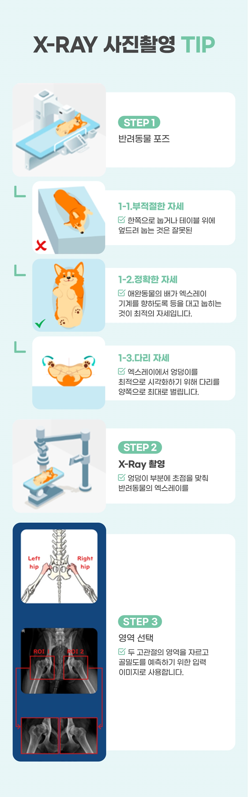 [무료배송] 브랜바인 조인트가디언 관절 영양제 90일분 15번째