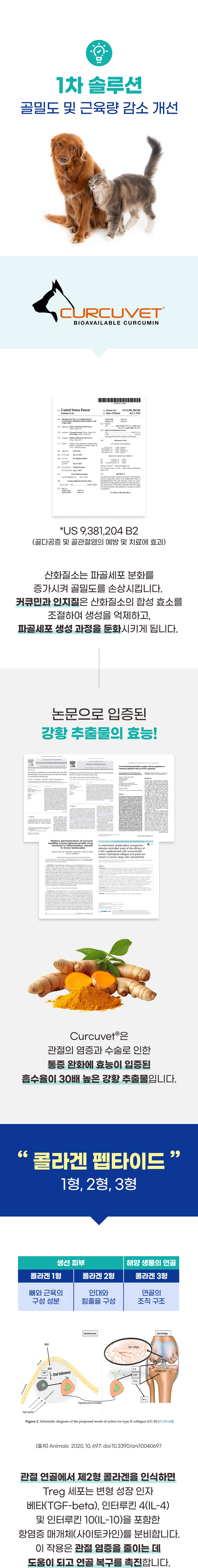 [무료배송] 브랜바인 조인트가디언 관절 영양제 90일분 7번째