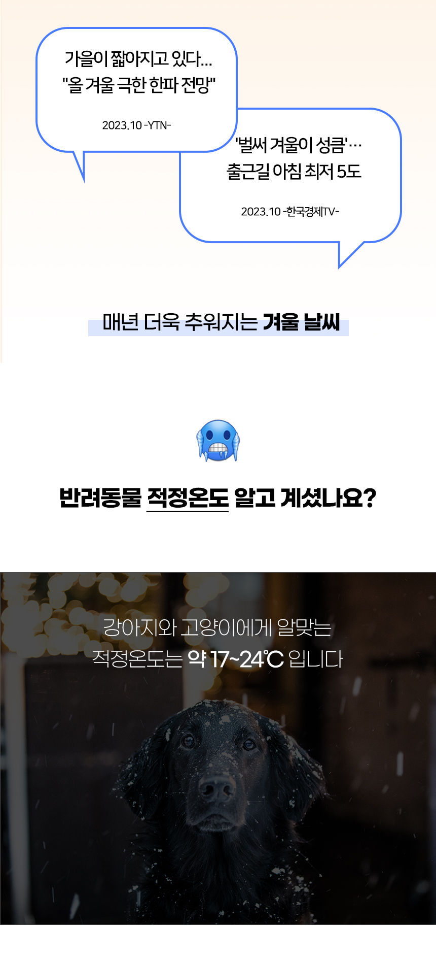[NEW신상][무료배송] 개과천선 고래 펫 쿠션 방석 (중형/대형) 2번째