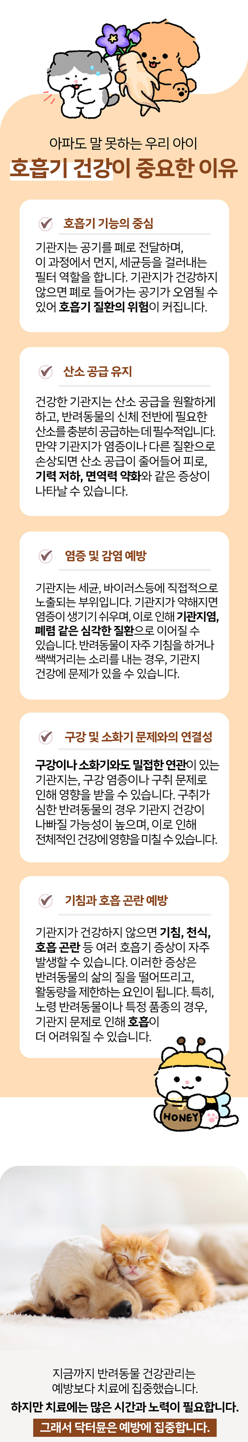 [NEW신상][무료배송] 닥터뮨 브레스 60g 2번째