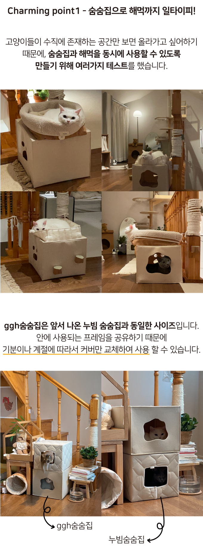 집에가야돼 고양이 ggh 숨숨집 7번째