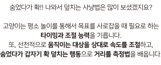 집에가야돼 고양이 ggh 숨숨집 9번째