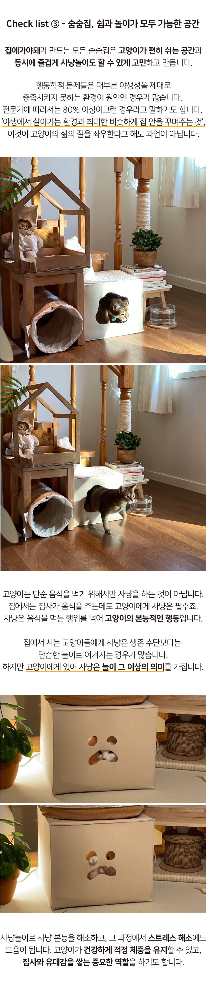 집에가야돼 고양이 ggh 숨숨집 6번째