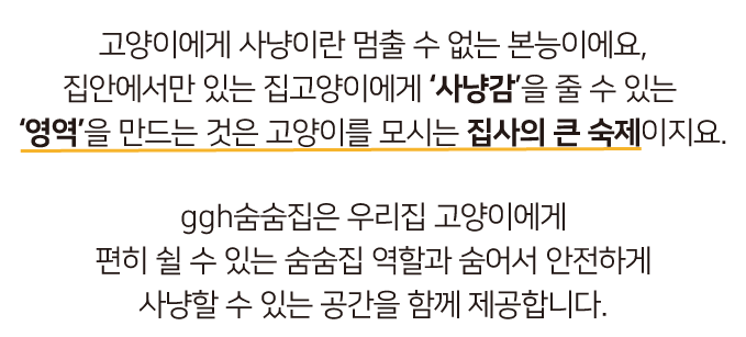 집에가야돼 고양이 ggh 숨숨집 10번째