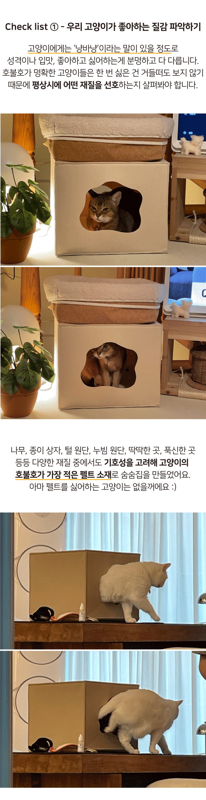 집에가야돼 고양이 ggh 숨숨집 4번째