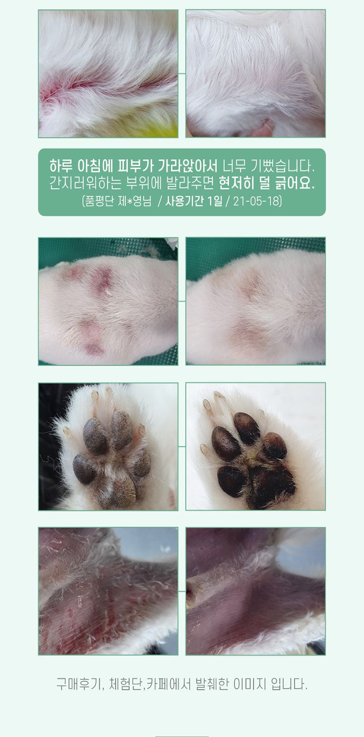 [무료배송] 꼬잇 결이매끈 케어크림 50g 10번째