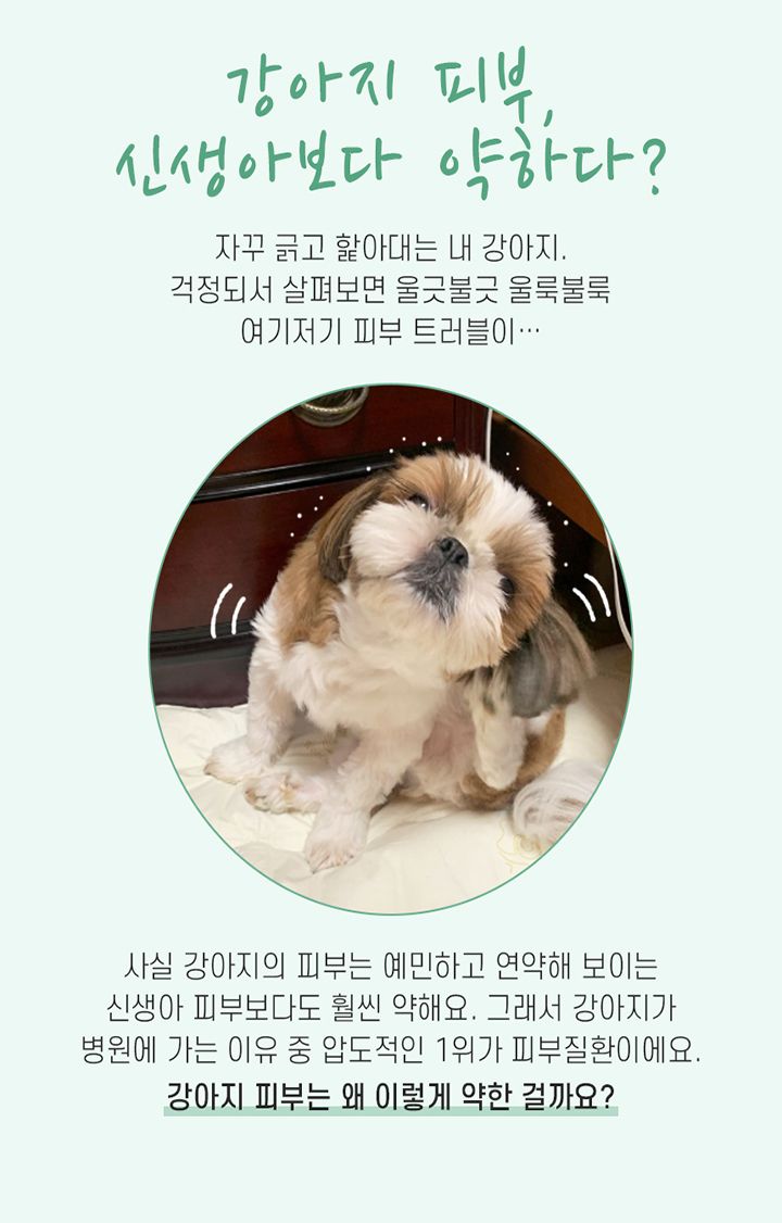 [무료배송] 꼬잇 결이매끈 케어크림 50g 4번째